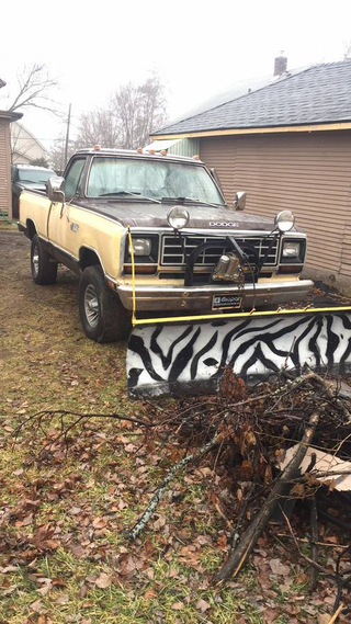 I don’t really care about the snowplow stuff.